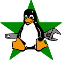 logo:penguin on a star